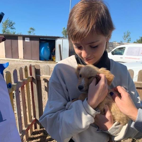 IL SOGNO CUCCIOLOSO DI ANNA....VISITARE UN CANILE! INSIEME LA TERAPIA DEI SOGNI E LA TERAPIA DEL CUORE CHE SOLO I MERAVIGLIOSI AMICI A 4 ZAMPE SANNO DONARE!