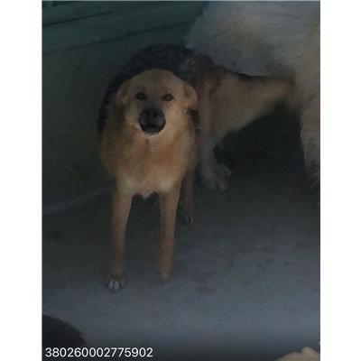 COMUNE DI GIUGLIANO - 380260002775902