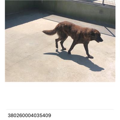 COMUNE DI GIUGLIANO - 380260004035409