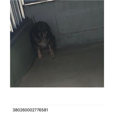 COMUNE DI GIUGLIANO - 380260002776581