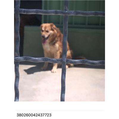 COMUNE DI GIUGLIANO - 380260042437723