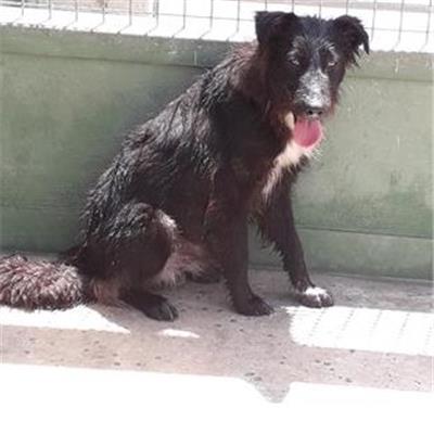 COMUNE DI GIUGLIANO - 380260004038840
