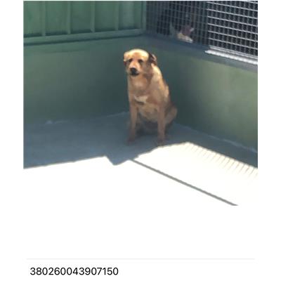 COMUNE DI GIUGLIANO - 380260043907150