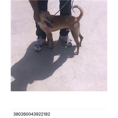 COMUNE DI GIUGLIANO - 380260043922182