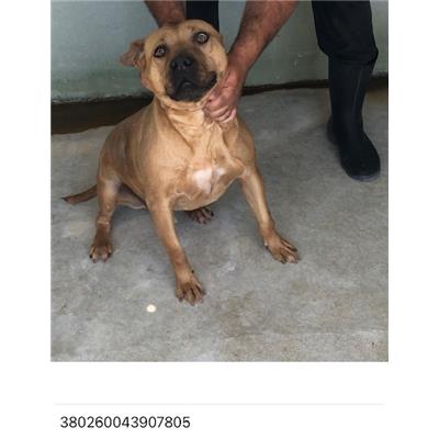 COMUNE DI GIUGLIANO - 380260043907805