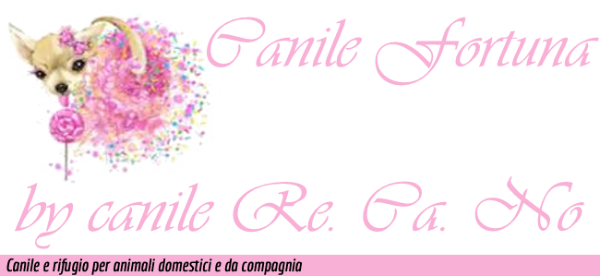 Logo di Canile Recano & Company s.a.s. di Coppola Fortunata